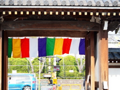 柴又七福神8