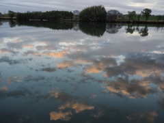 雨上がりの江戸川5