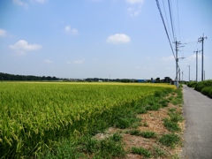 河内町2