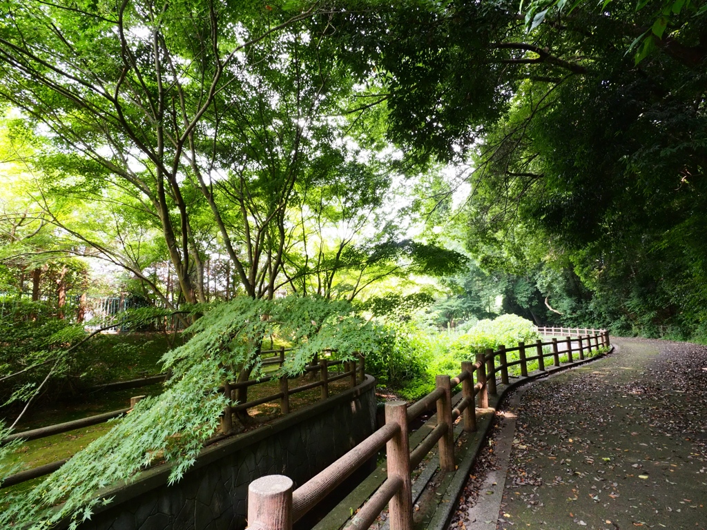 市川動植物園2