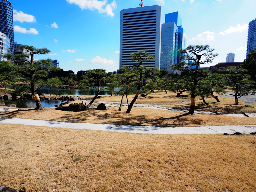 旧芝離宮恩賜庭園1