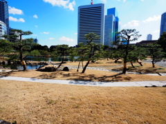 旧芝離宮恩賜庭園1