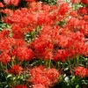 府中郷土の森公園38