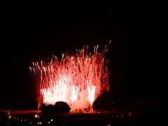 葛飾花火大会17