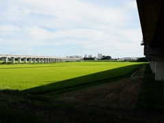利根運河3