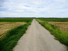 利根川沿い2