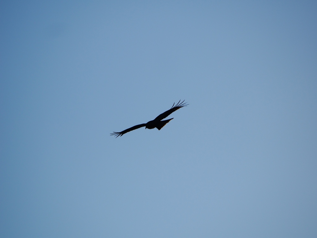 葛西臨海公園12