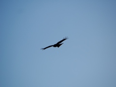 葛西臨海公園12