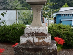 秩父の野7