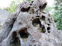 旧芝離宮恩賜庭園6