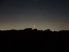 江戸川の夕暮れ4