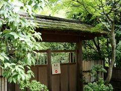 柴又7