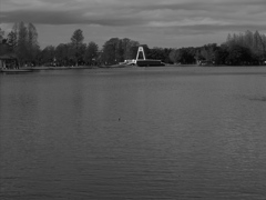 水元公園のモノクロ3