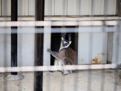 市川動植物園18