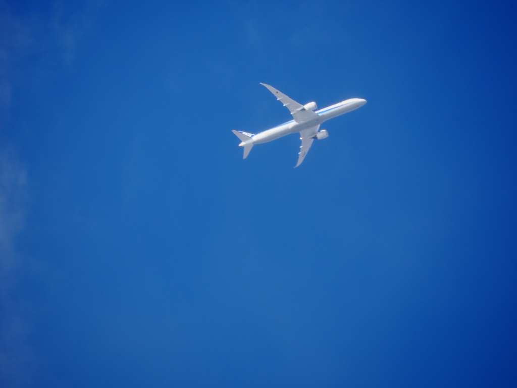 水元公園の飛行機