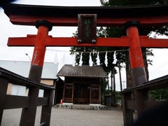 秩父の野4