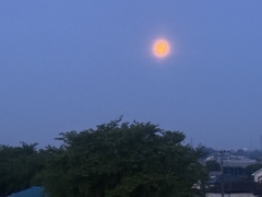 夜行自転車1