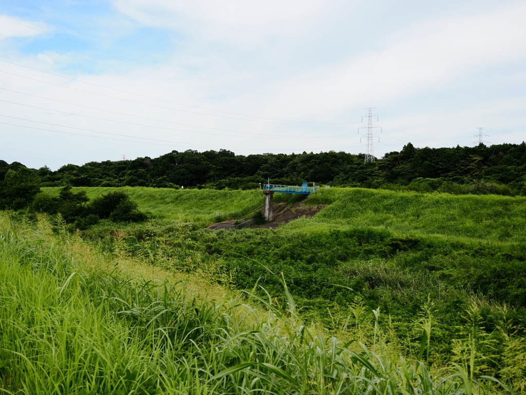 利根運河1