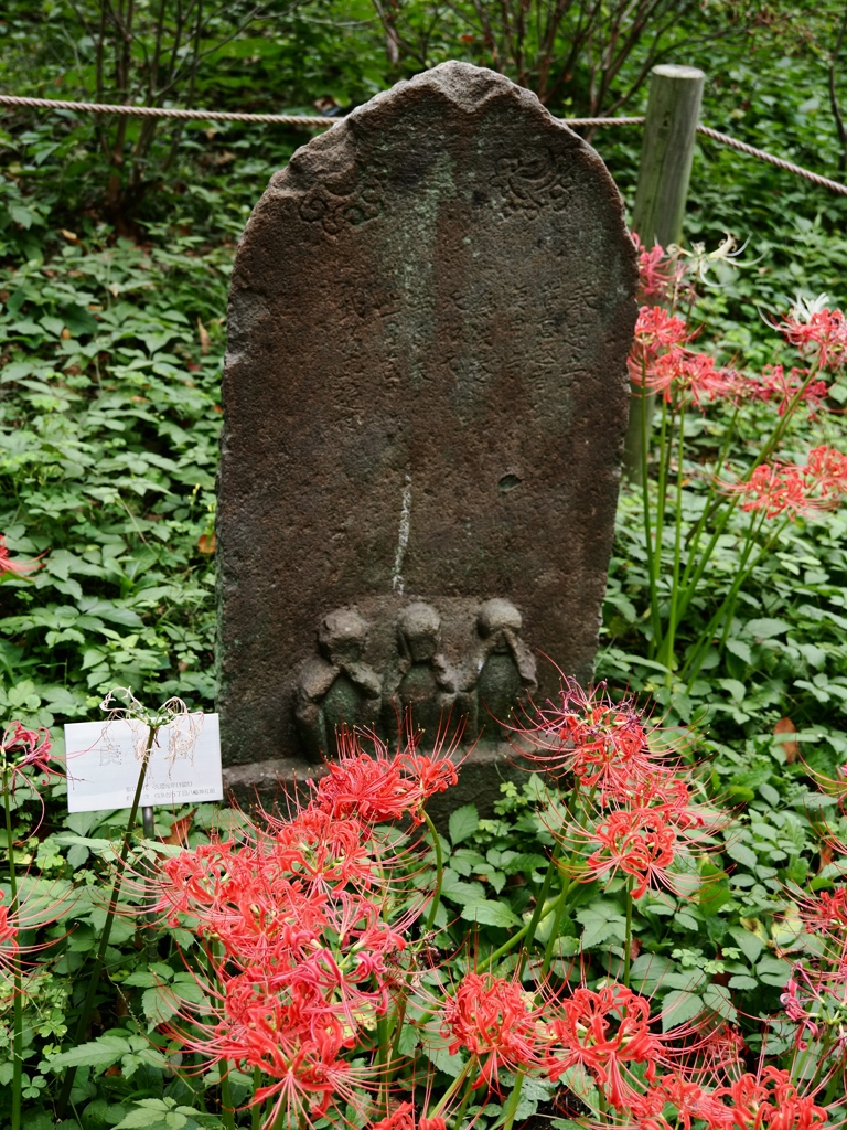 府中郷土の森公園3