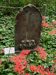 府中郷土の森公園3
