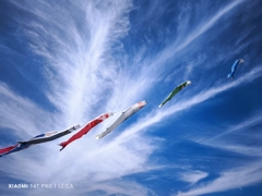 天空を泳ぐ鯉のぼり