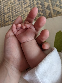 小さな手