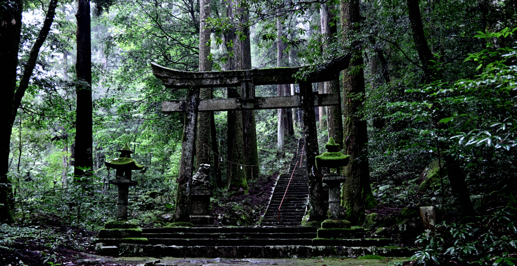 苔の社