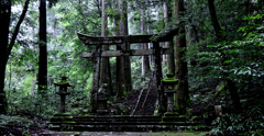 苔の社
