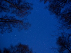 星空