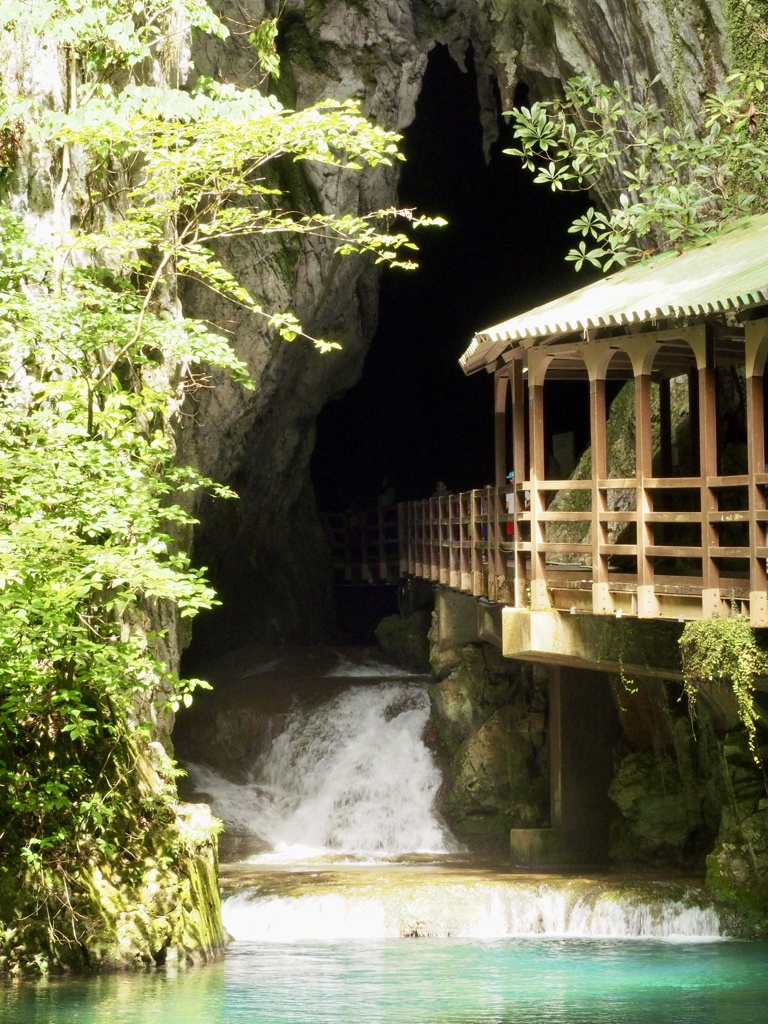 山口県美祢市・秋芳洞