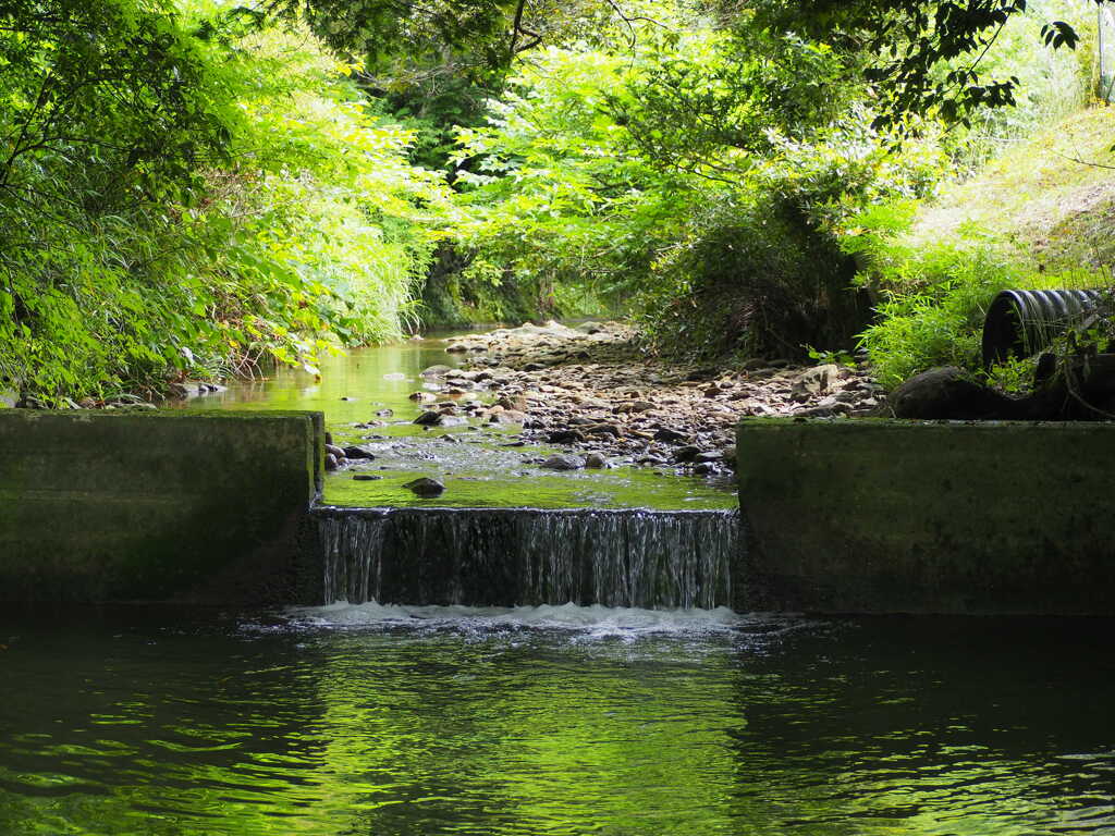 大多喜町・小櫃川