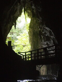 山口県美祢市・秋芳洞
