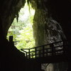 山口県美祢市・秋芳洞
