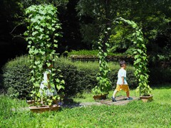 公園のアーチ