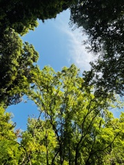 空を見上げて