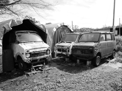 LIFE STEP-VAN