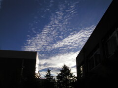 うろこ雲