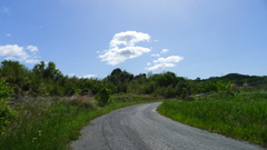野路