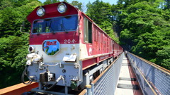 奥大井湖上駅前から