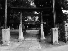 参道