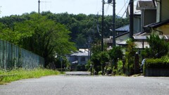 逃げ水