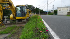 花と重機