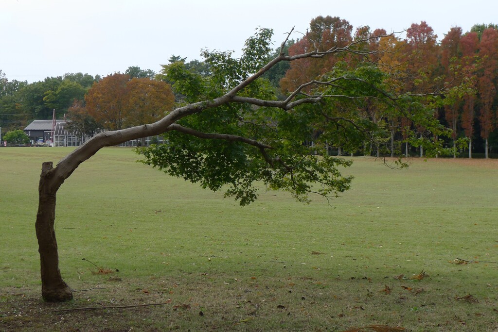 これからも生き抜いてくれ