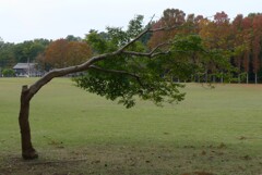 これからも生き抜いてくれ