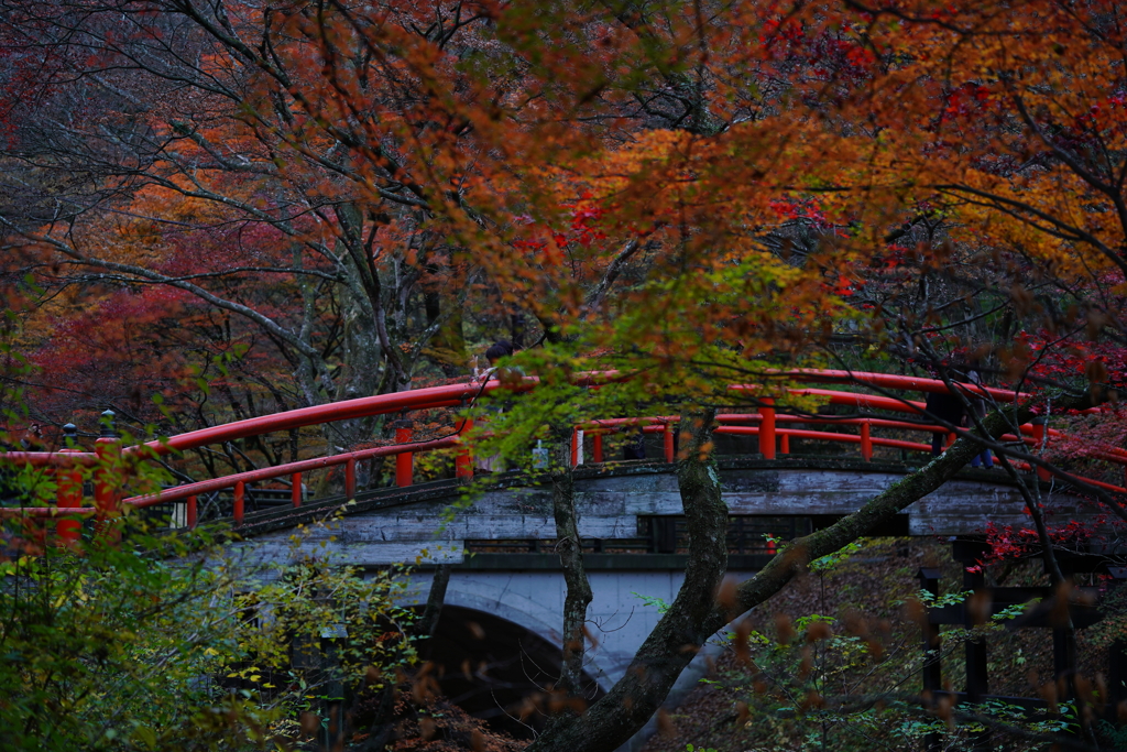 赤橋
