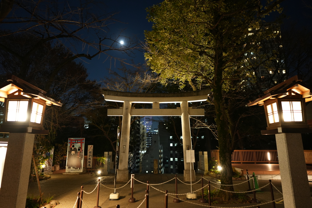 闇夜を照らす東京の明かり