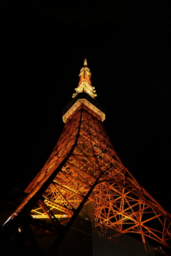 黒の夜に