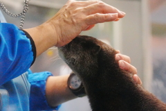 石川県　のとじま水族館