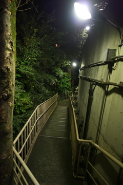 続く
