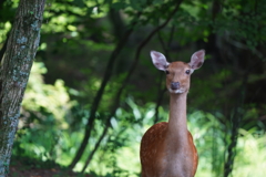 はじめまして